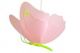 Ночник пластиковый Люстра 1шт розов. SPA5 R&M Coudert
